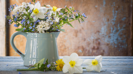 Independent Twin Cities Shops for Spring Home Refresh Finds | Counselor Realty